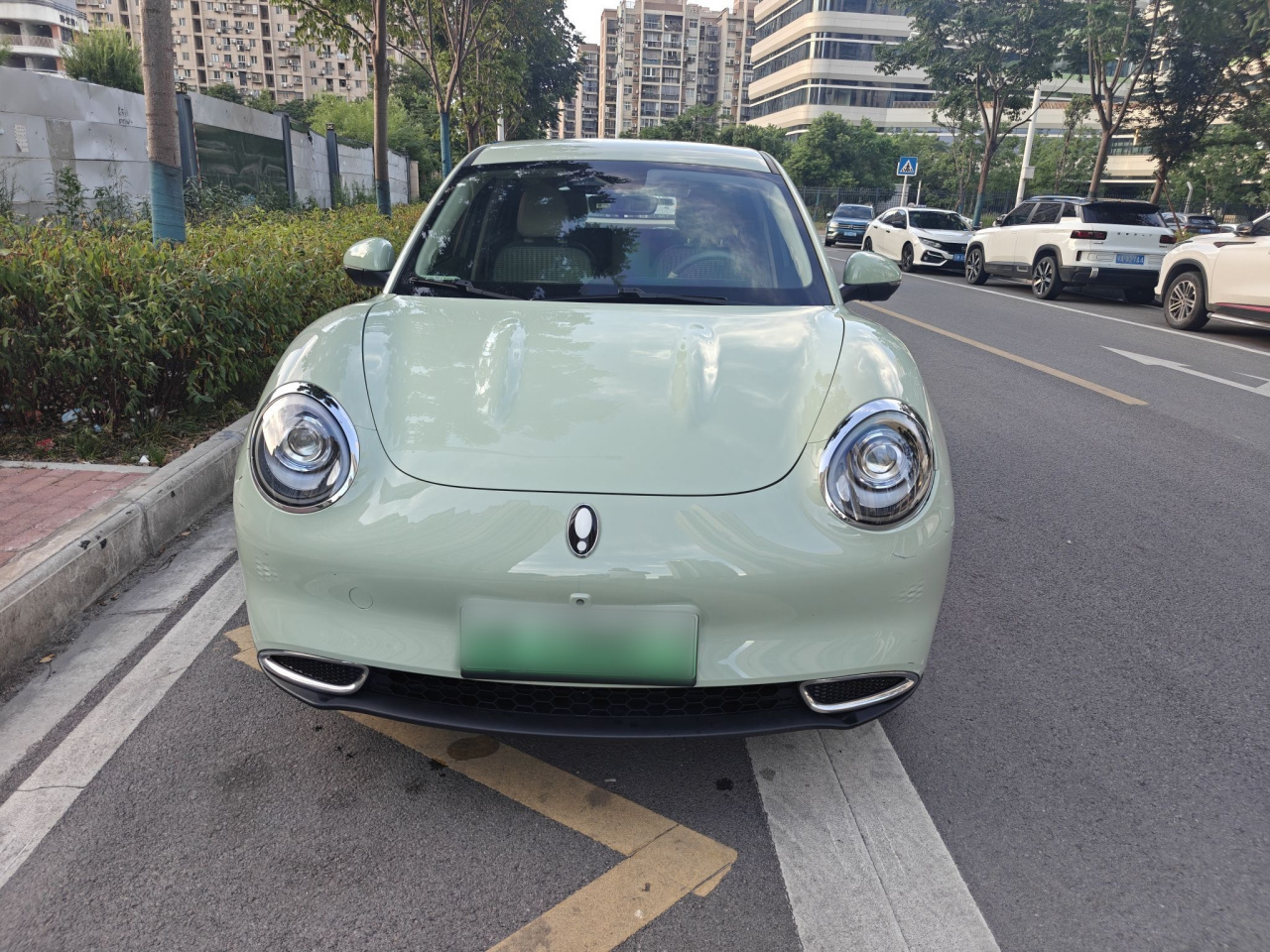 Good Cat 2023 501km Long Range Luxury LFP photo 2