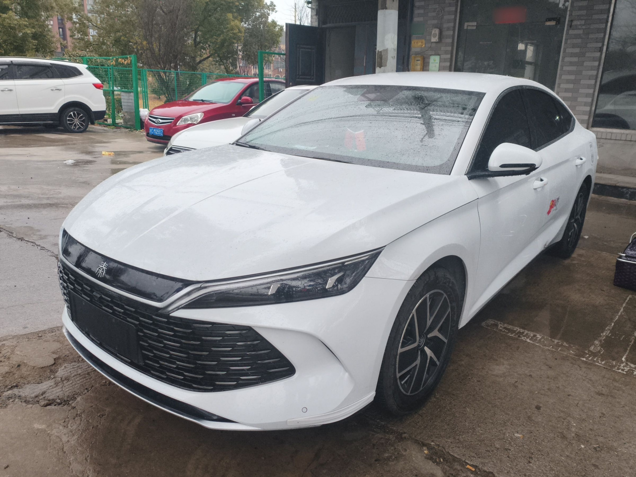 Qin L 2024 DM-i 80KM