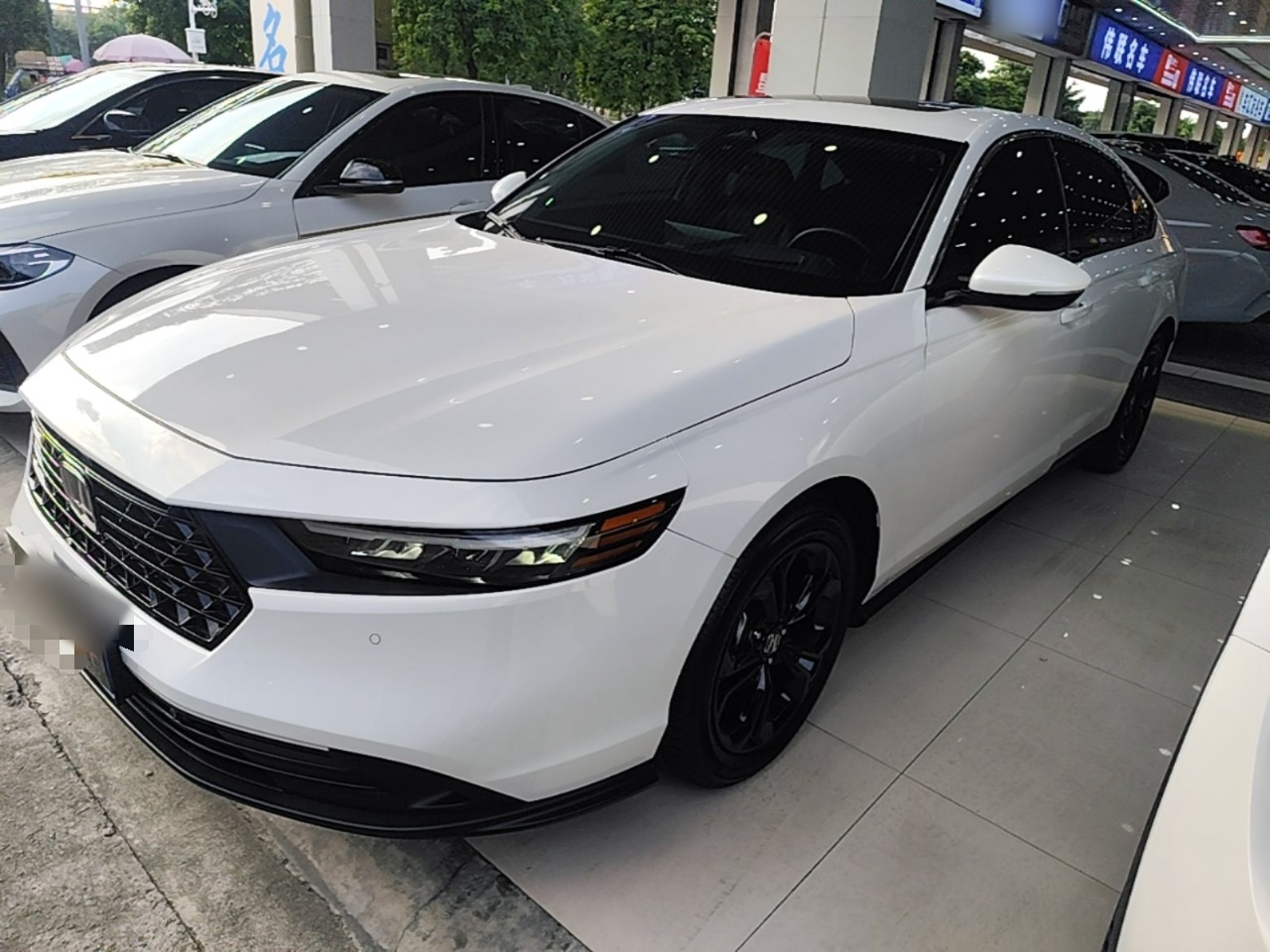 Accord 2025 260TURBO Luxury