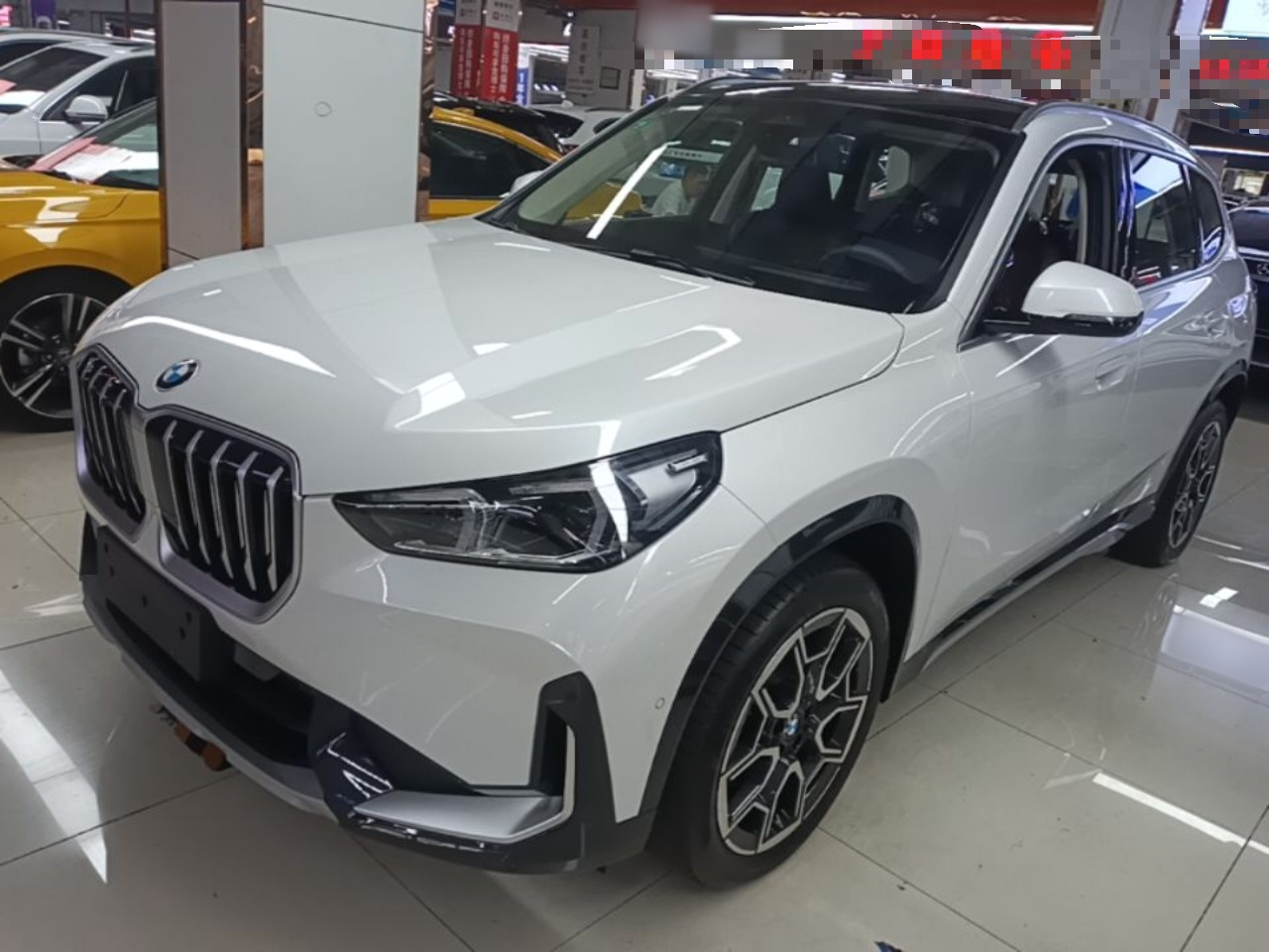 X1 2024 sDrive25Li X Design Package