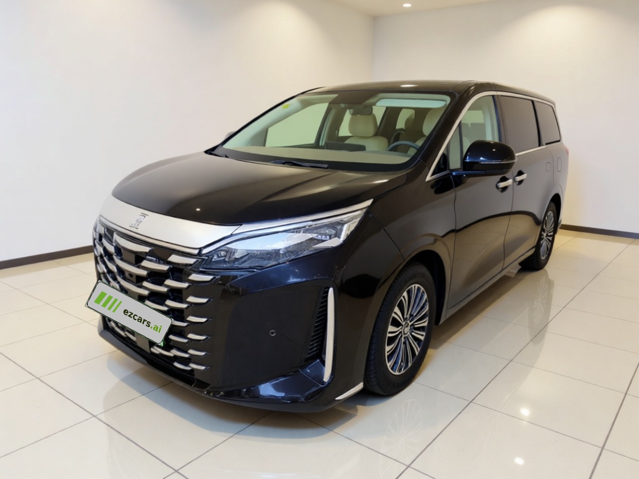 2025 DM-i 1.5T 180km Excellence