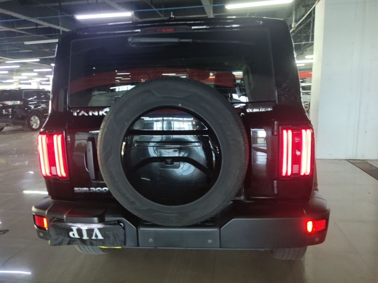 300 2023 Off-road 2.0T Conqueror photo 5