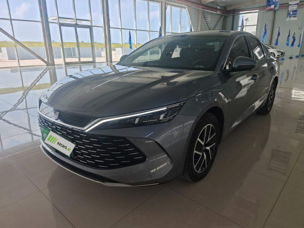 Qin L 2024 DM-i 120KM