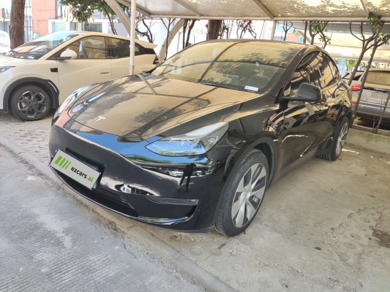 Model Y 2021 Standard Range RWD