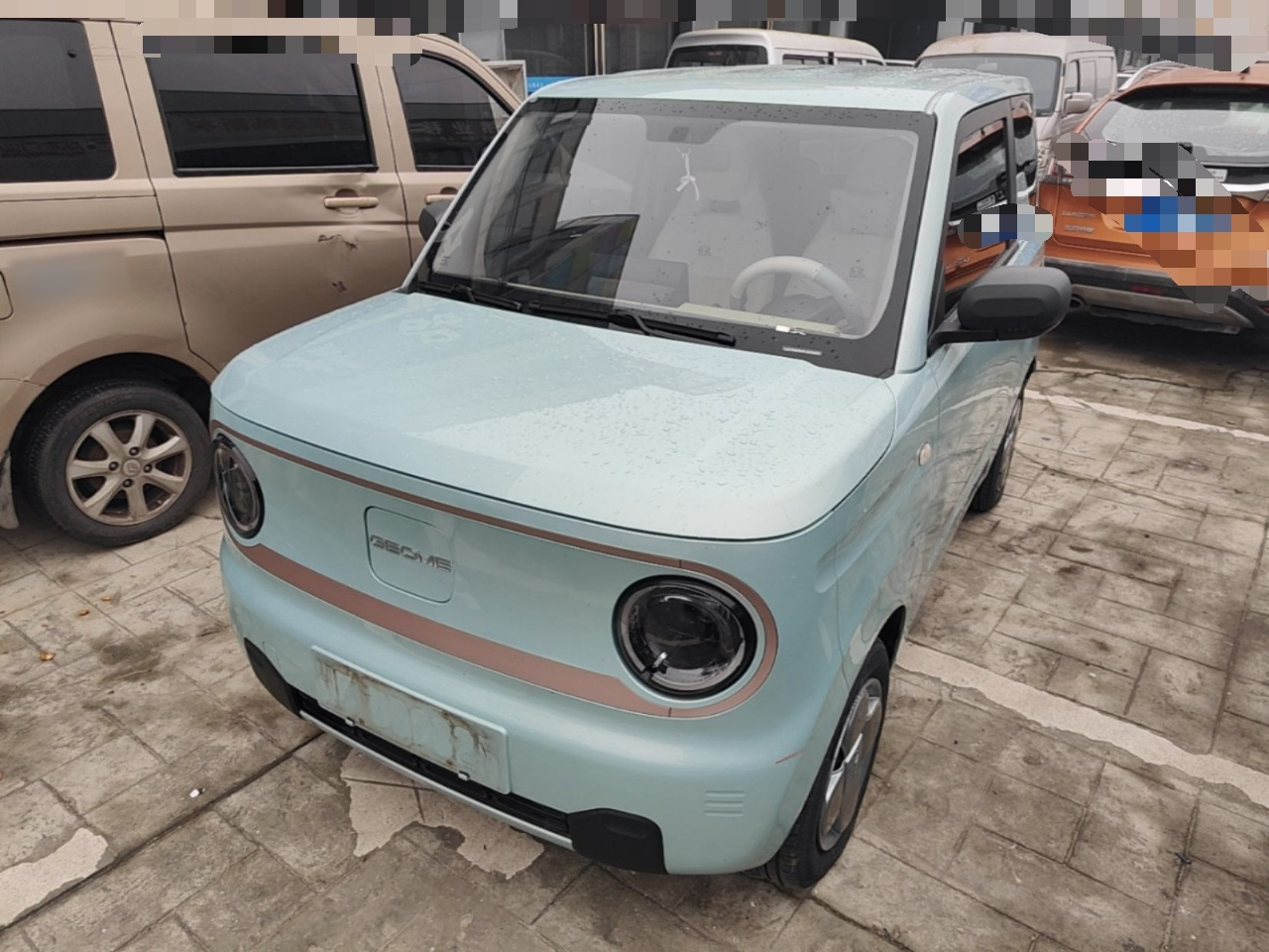 2023 Panda mini 200km Endurance Bear