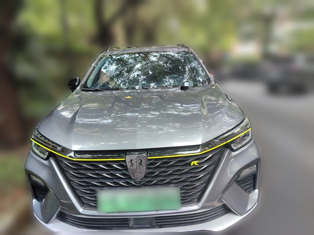 RX5 EV 2020 ePLUS Luxury photo 2
