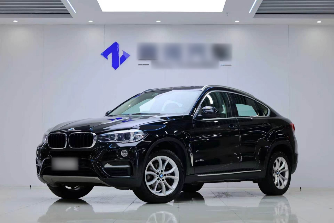 X6 2015 xDrive35i Leading