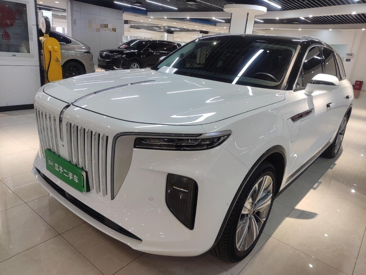 E-HS9 2022 690km 6-Seater