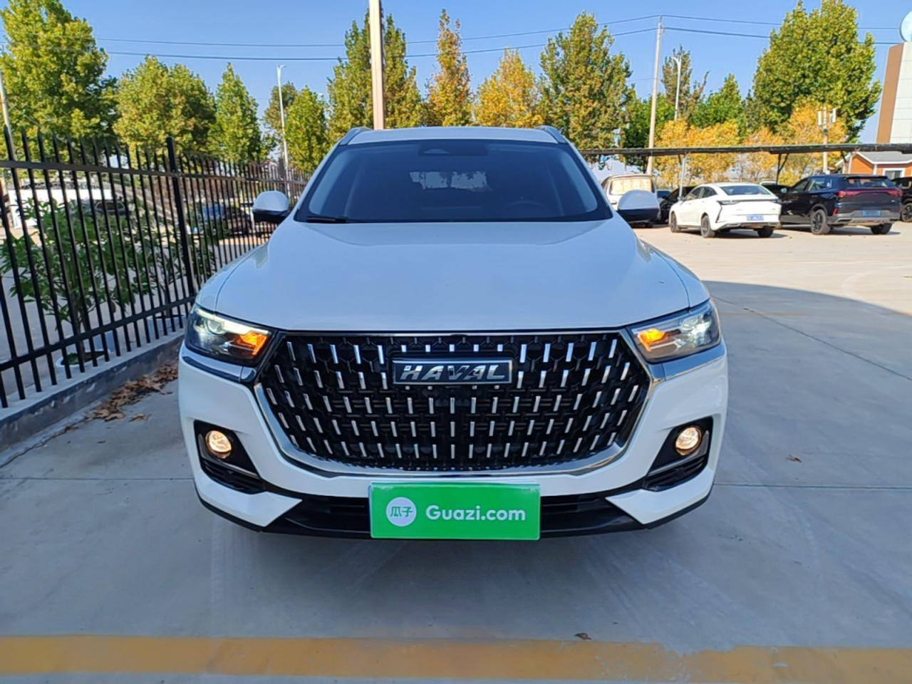 H6 2023 1.5T AT Champion photo 2