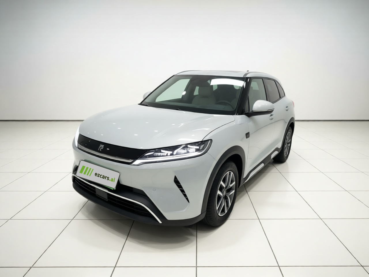 Yuan UP 2025 ADAS 401KM