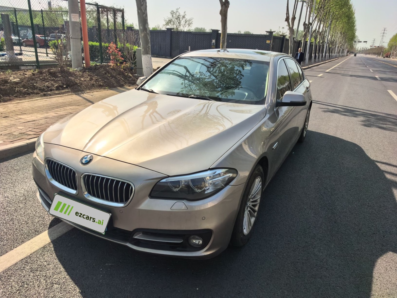 5 Series 2014 525Li Leading