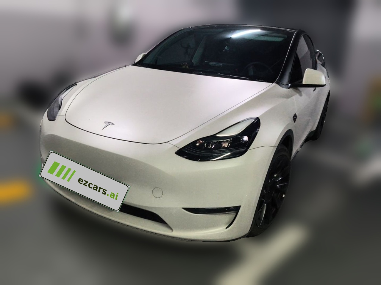 Model Y 2021 Standard Range RWD