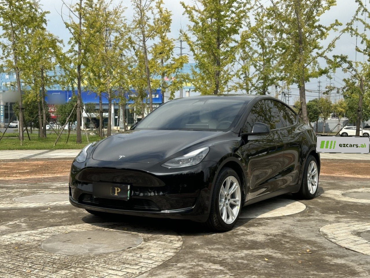 Model Y 2022 RWD