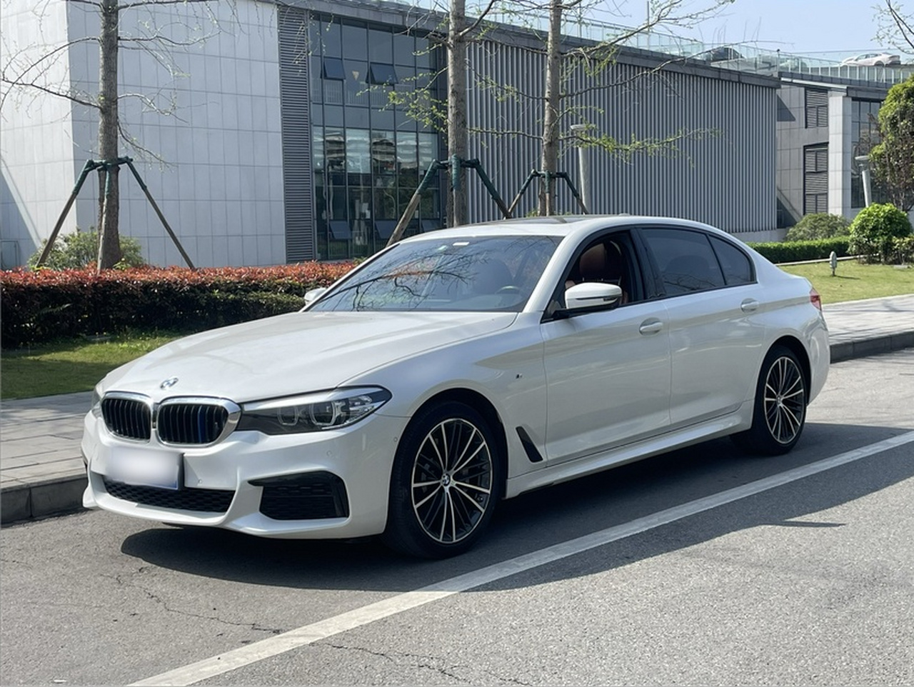 5 Series 2019 530Li Leading M Sport Package