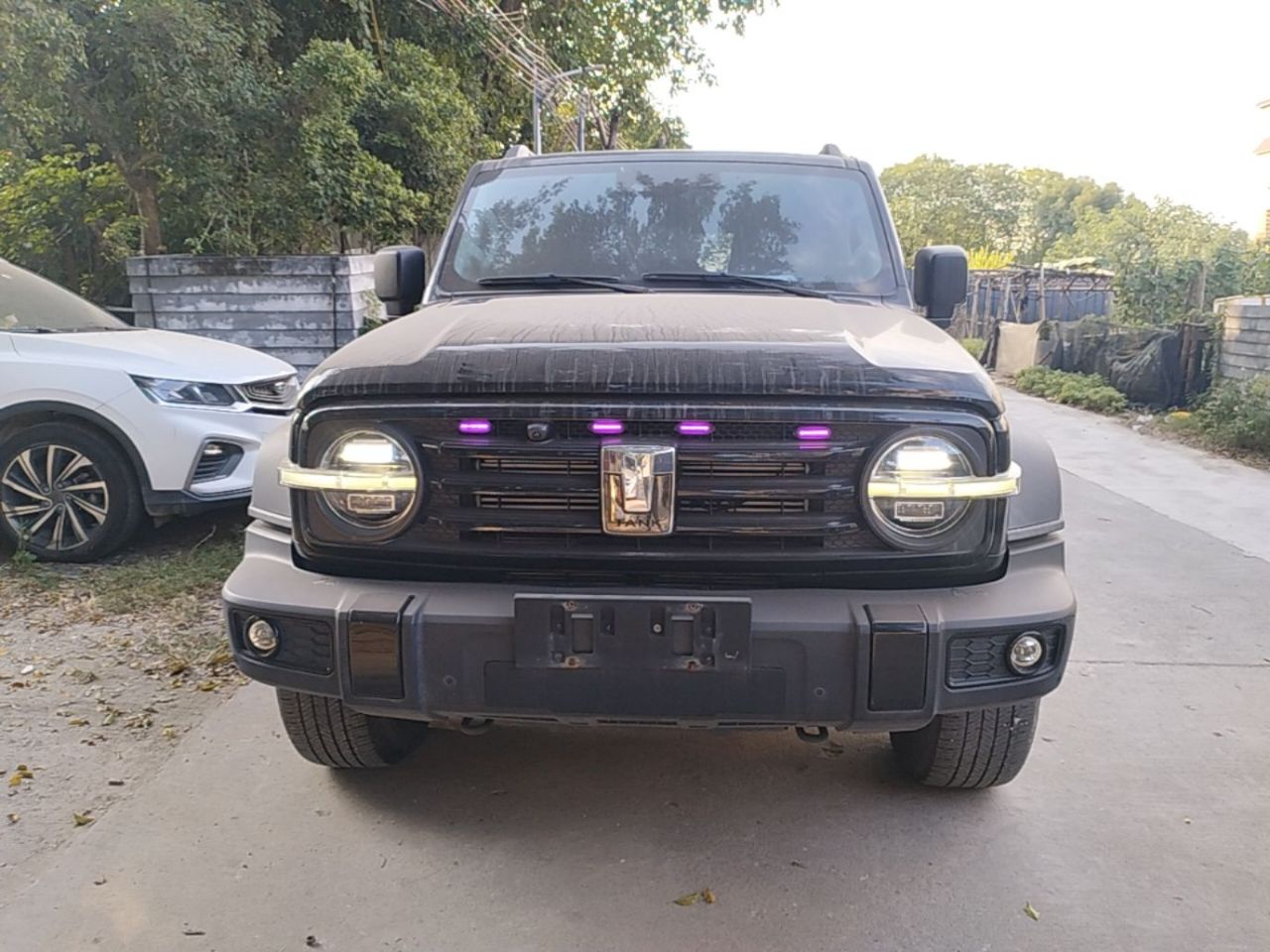 300 2021 Off-road 2.0T photo 2