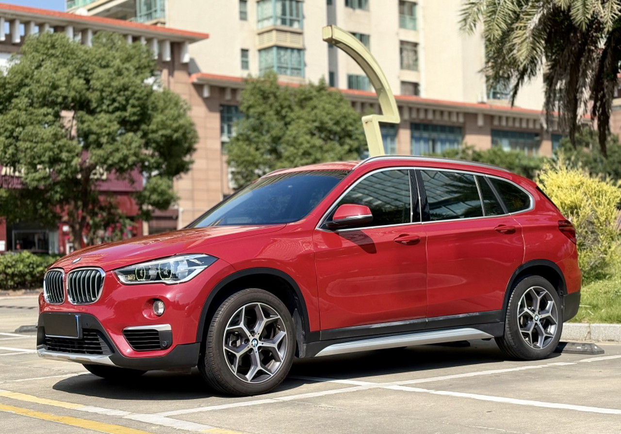 X1 2019 sDrive18Li Exclusive