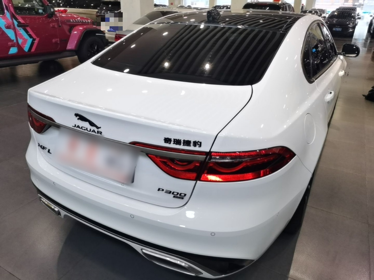 XFL 2024 2.0T P300 AWD Flagship Sport photo 4
