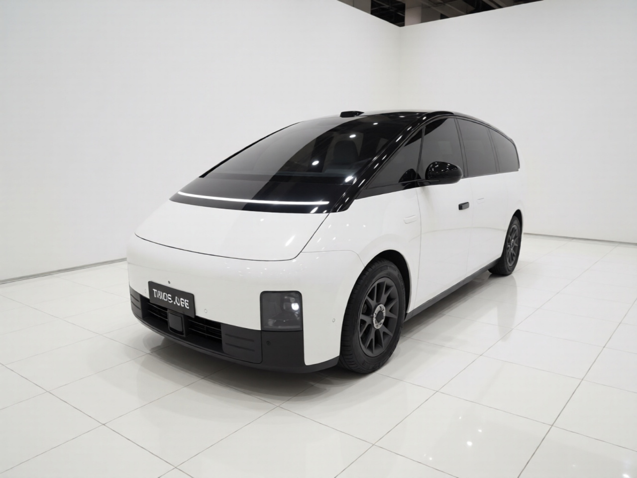 Li MEGA 2025 Home Family Special