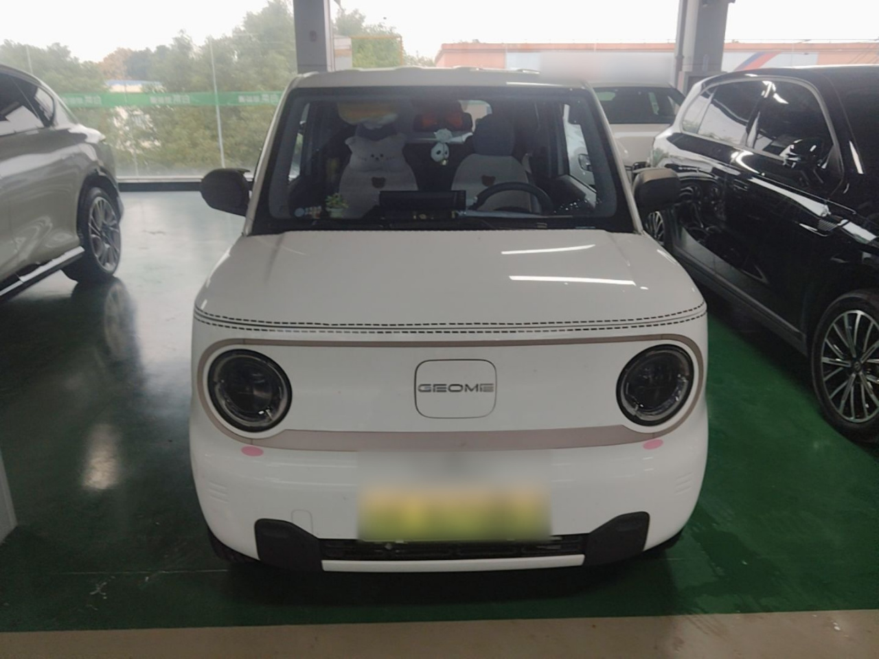 2023 Panda mini 200km Endurance Bear photo 2