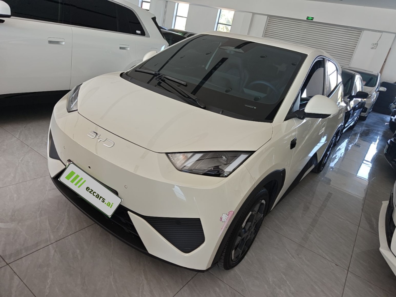 Seagull 2025 ADAS 305km