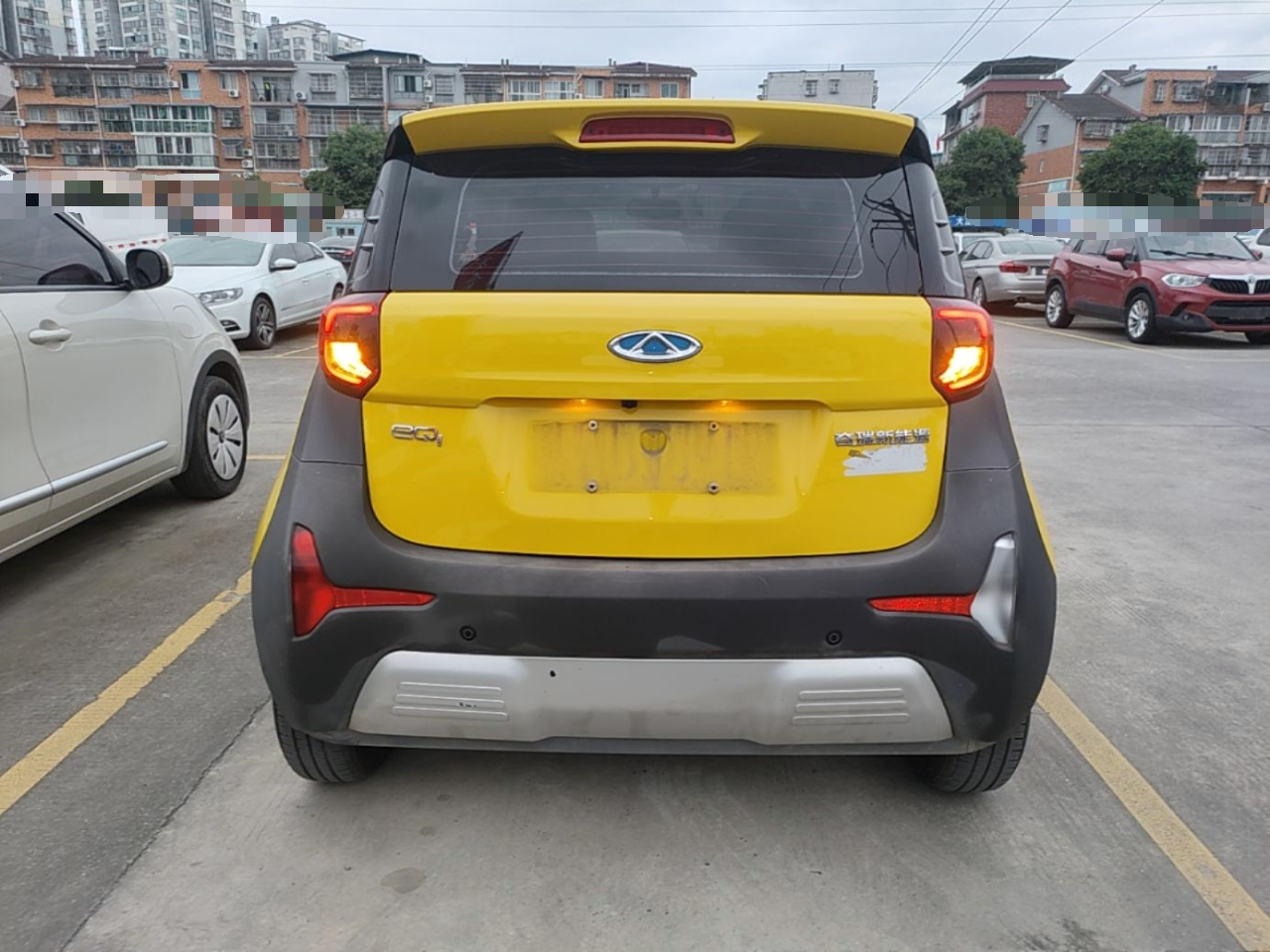 QQ Little Ant 2021 15 LFP photo 5