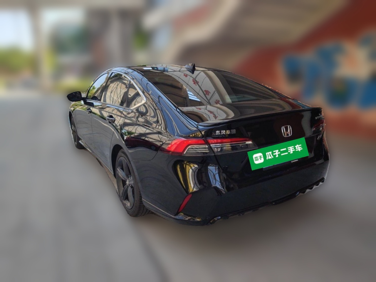 2024 260TURBO Elite photo 4