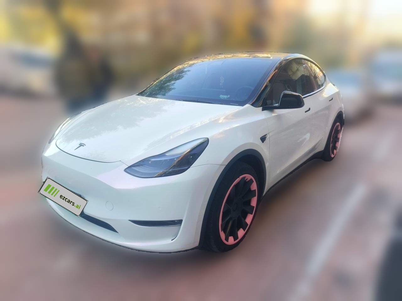 Model Y 2021 Standard Range RWD