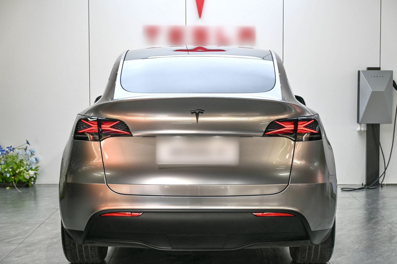 Model Y 2024 Long Range AWD photo 5