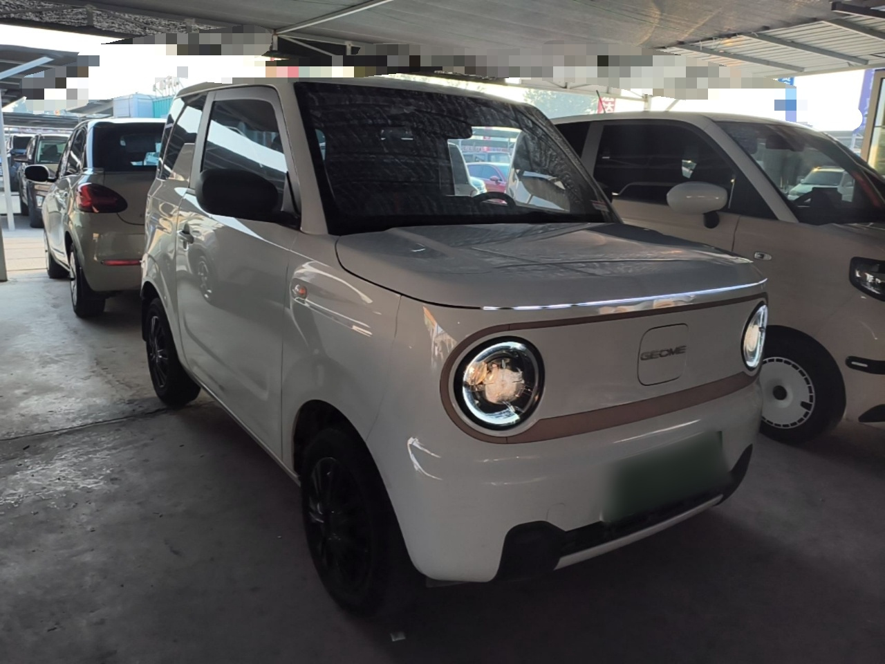 2024 Panda mini 200km Endurance Bear photo 5
