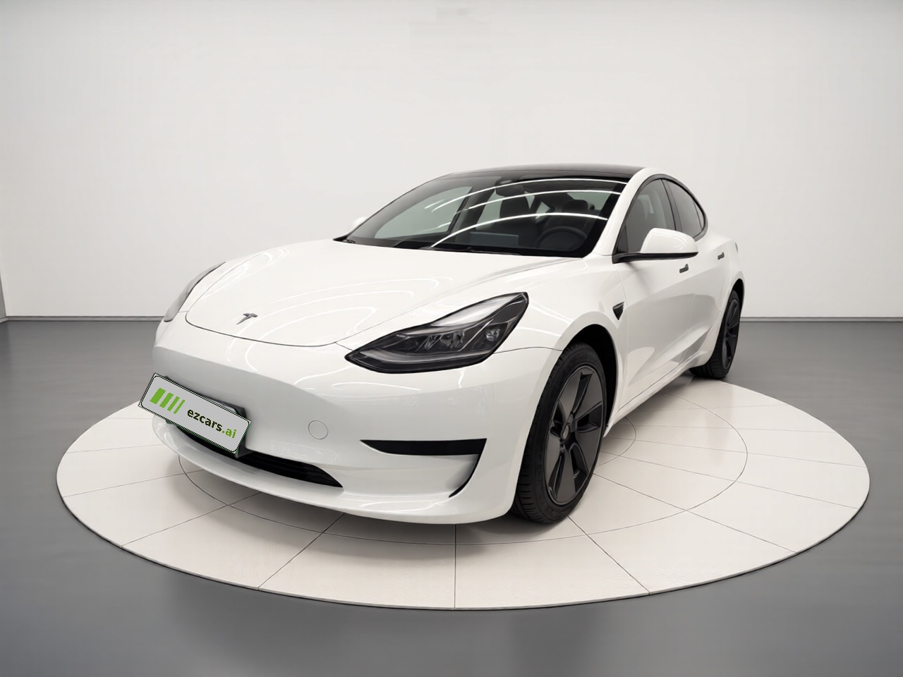 Model 3 2021 Standard Range RWD Upgraded 3D6