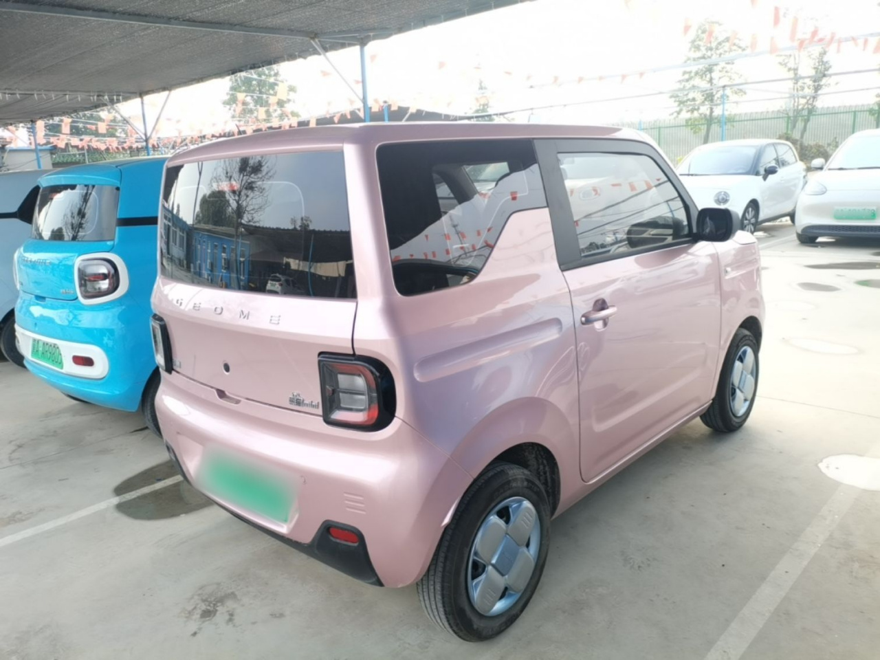 2023 Panda mini 200km Endurance Bear photo 4