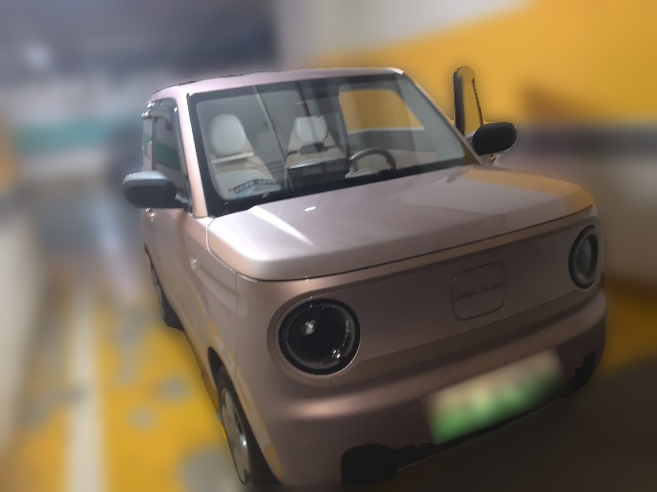 2023 Panda mini 200km Endurance Bear photo 3