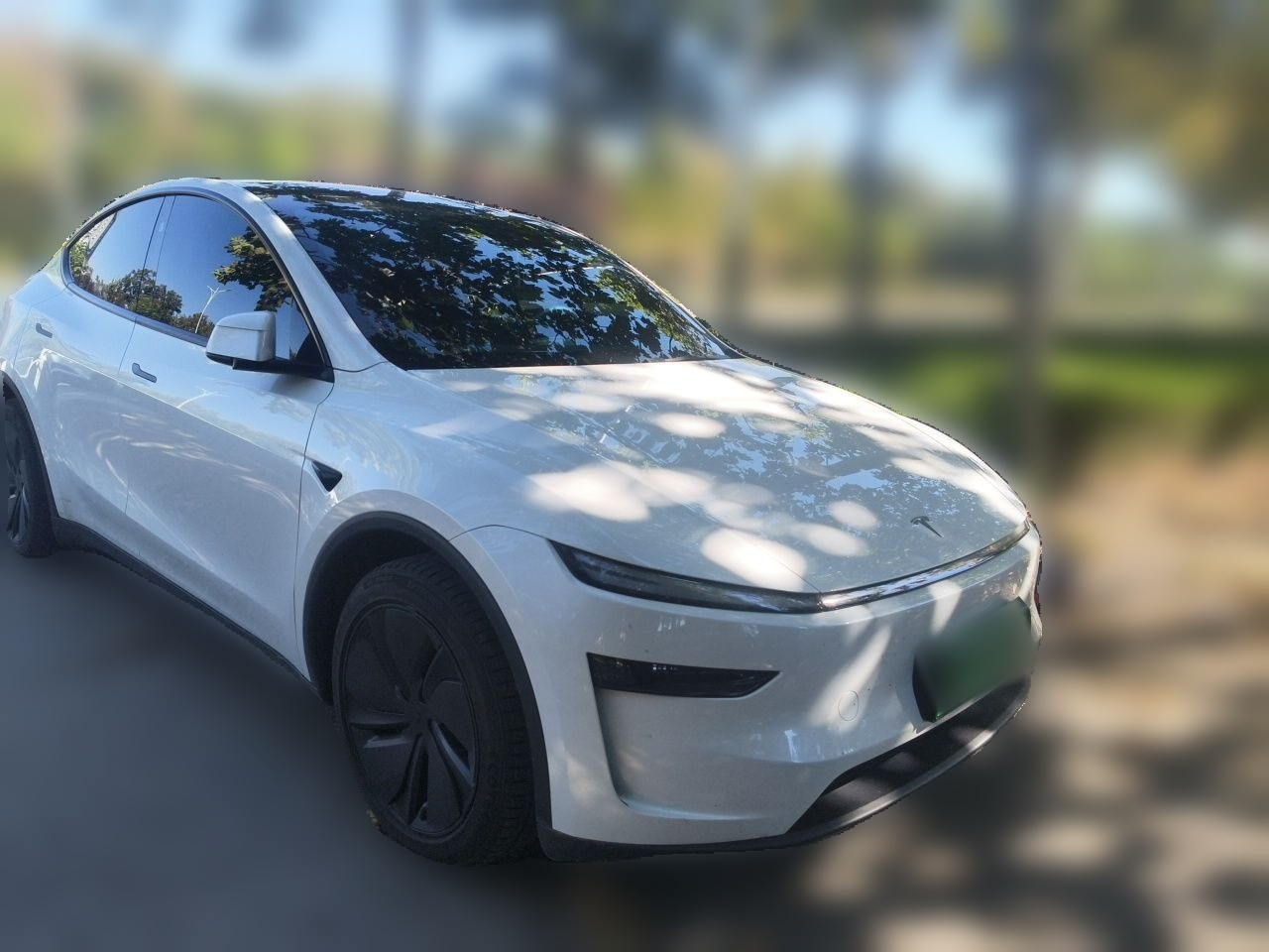 Model Y 2025 RWD photo 3
