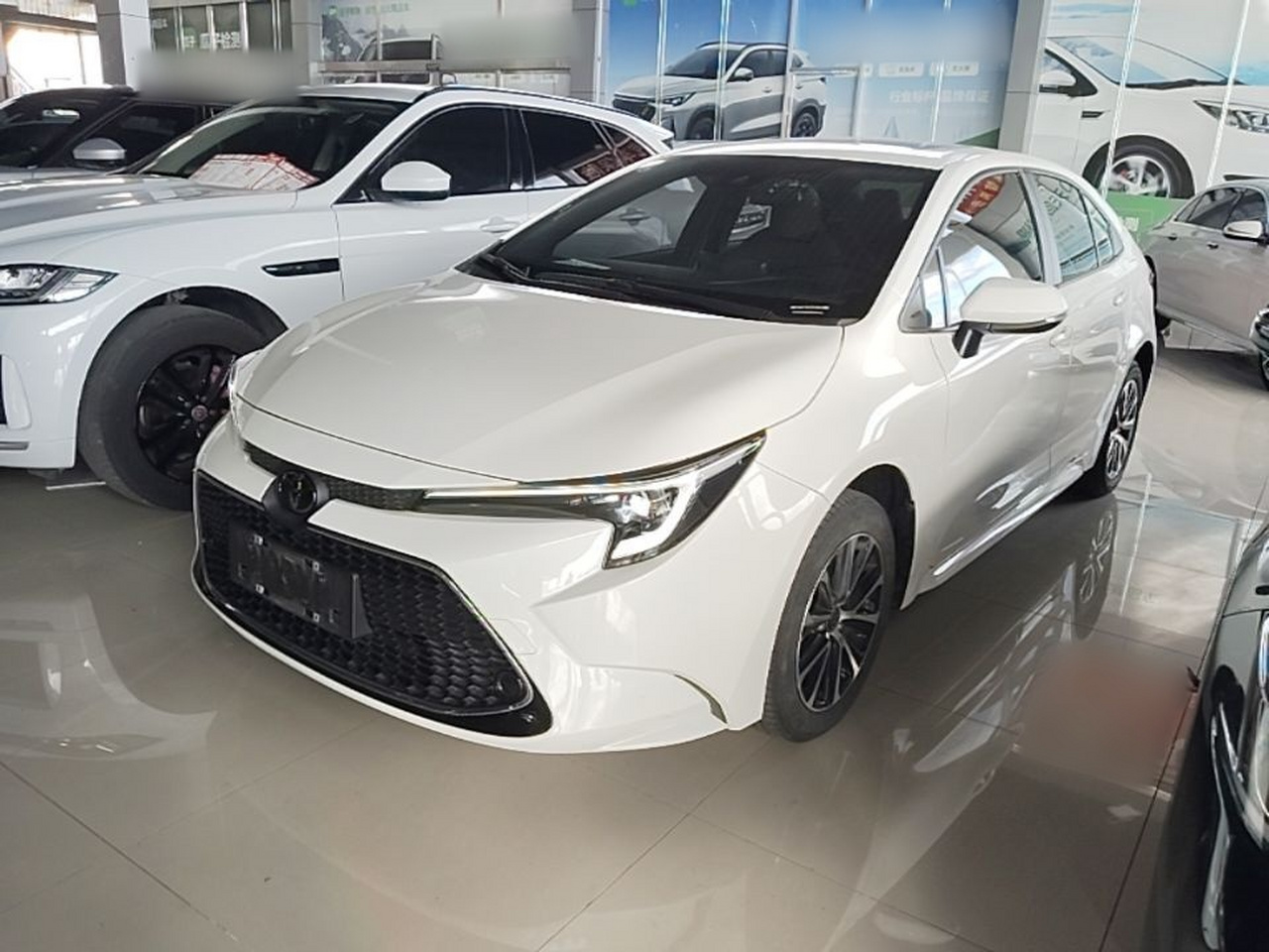 Levin 2024 185T CVT Luxury