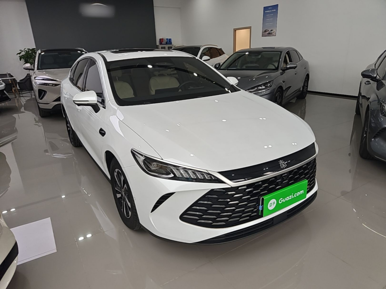 Qin PLUS 2025 DM-i ADAS 55KM photo 3
