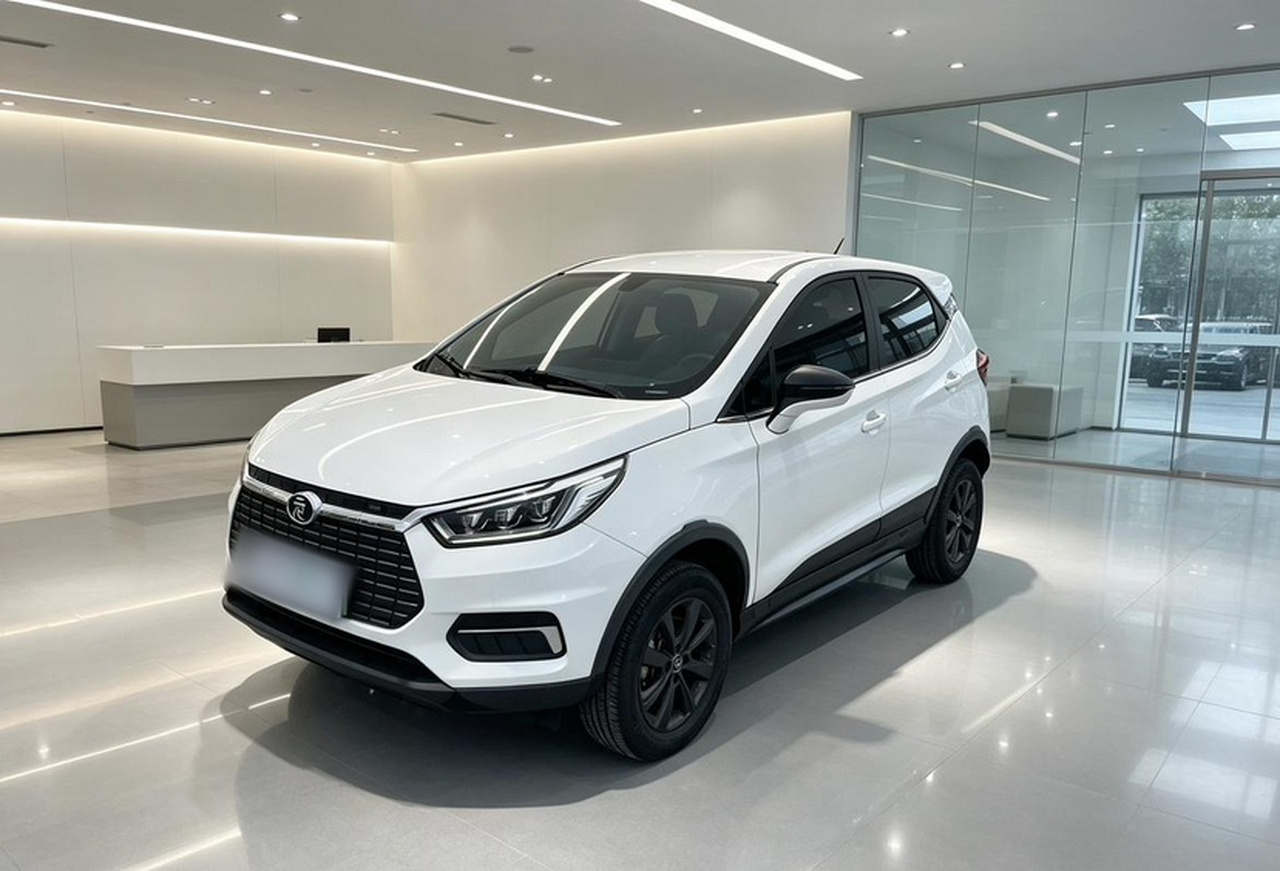 Yuan EV 2019 EV535 Connected