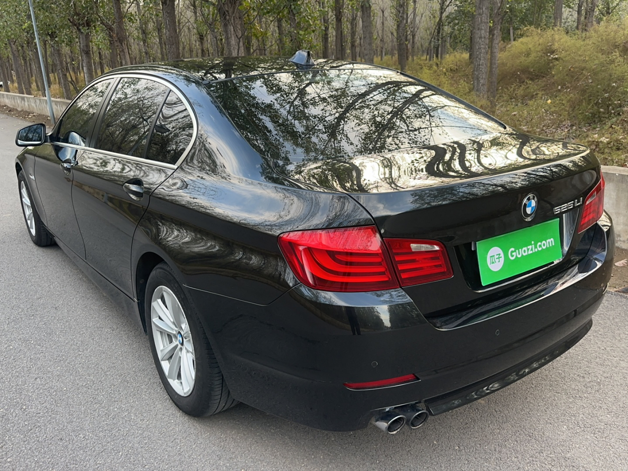 5 Series 2013 525Li Leading photo 4