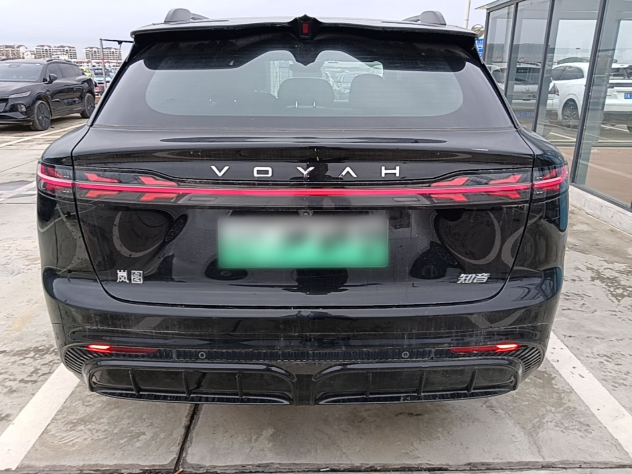 Voyah 2024 AWD photo 3