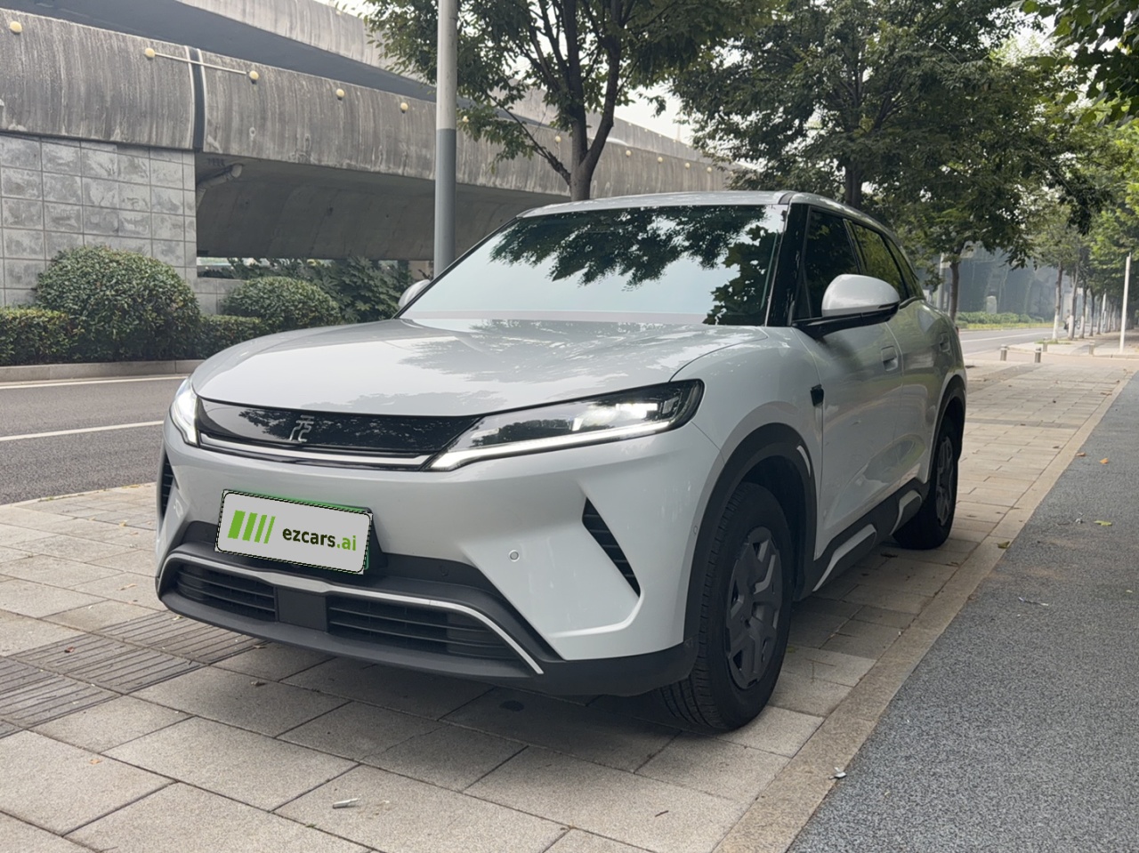 Yuan UP 2025 ADAS 401KM