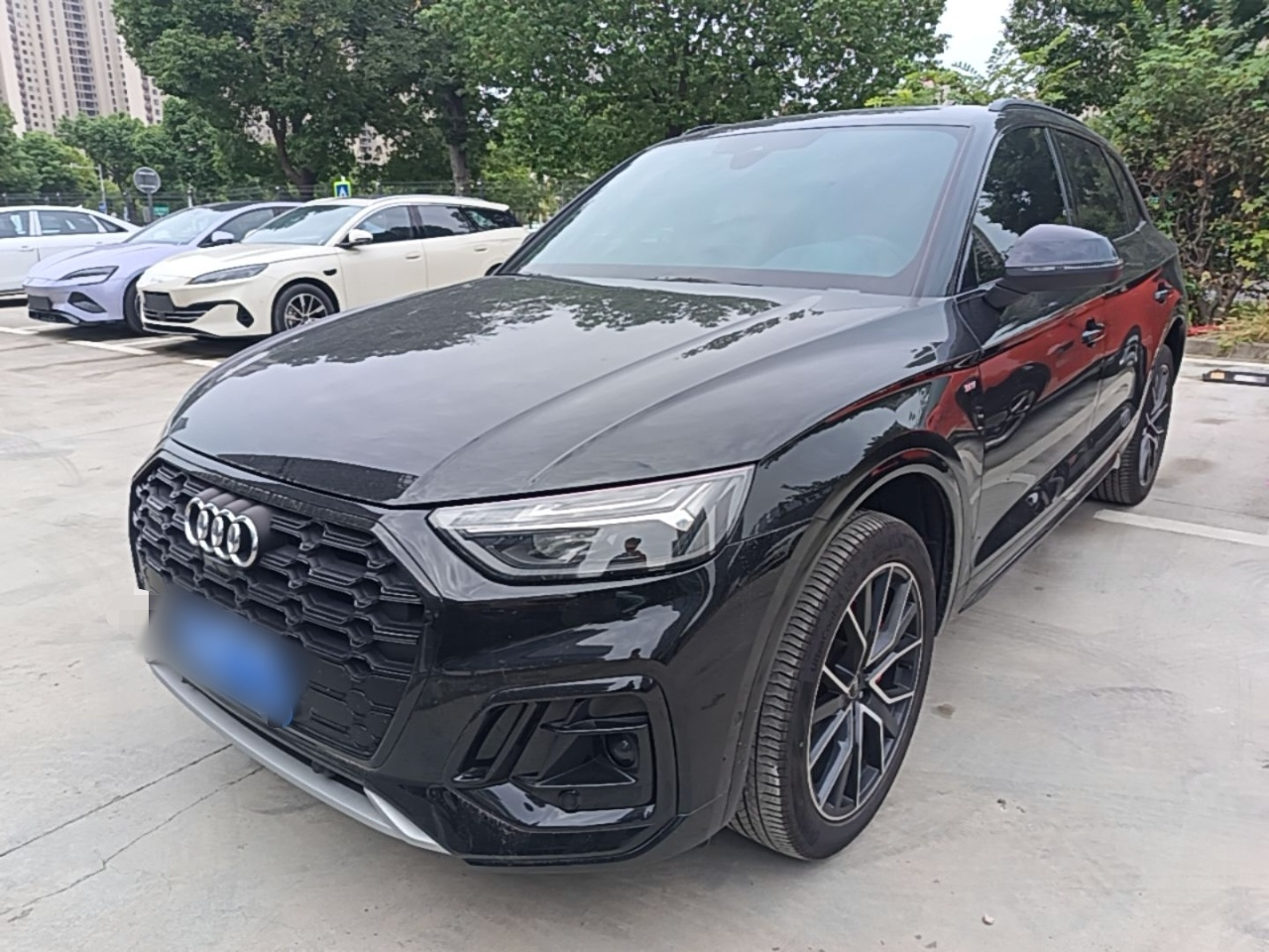 Q5L 2025 45 Collection 45 TFSI Luxury Dynamic
