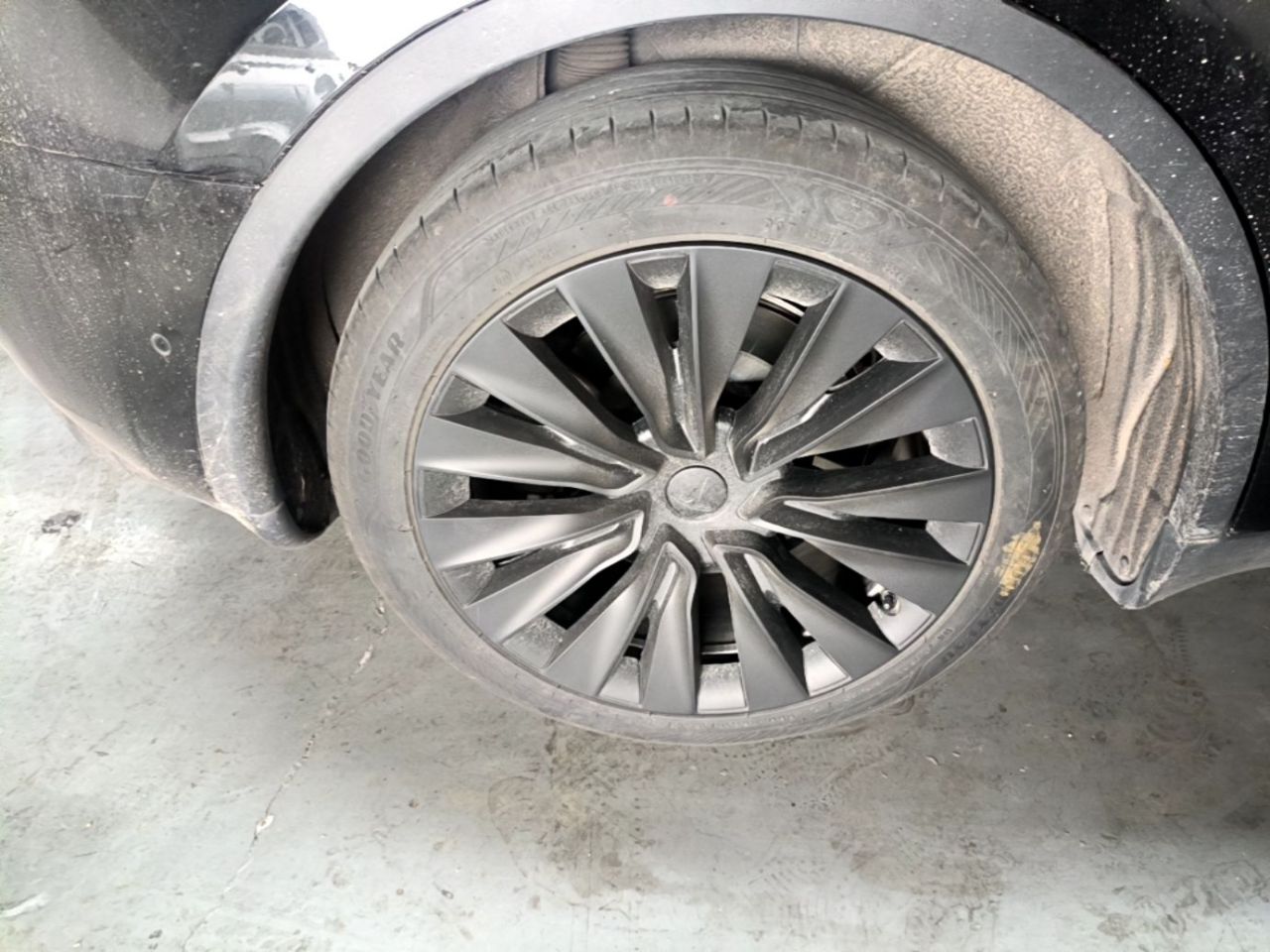 Model Y 2023 RWD photo 4