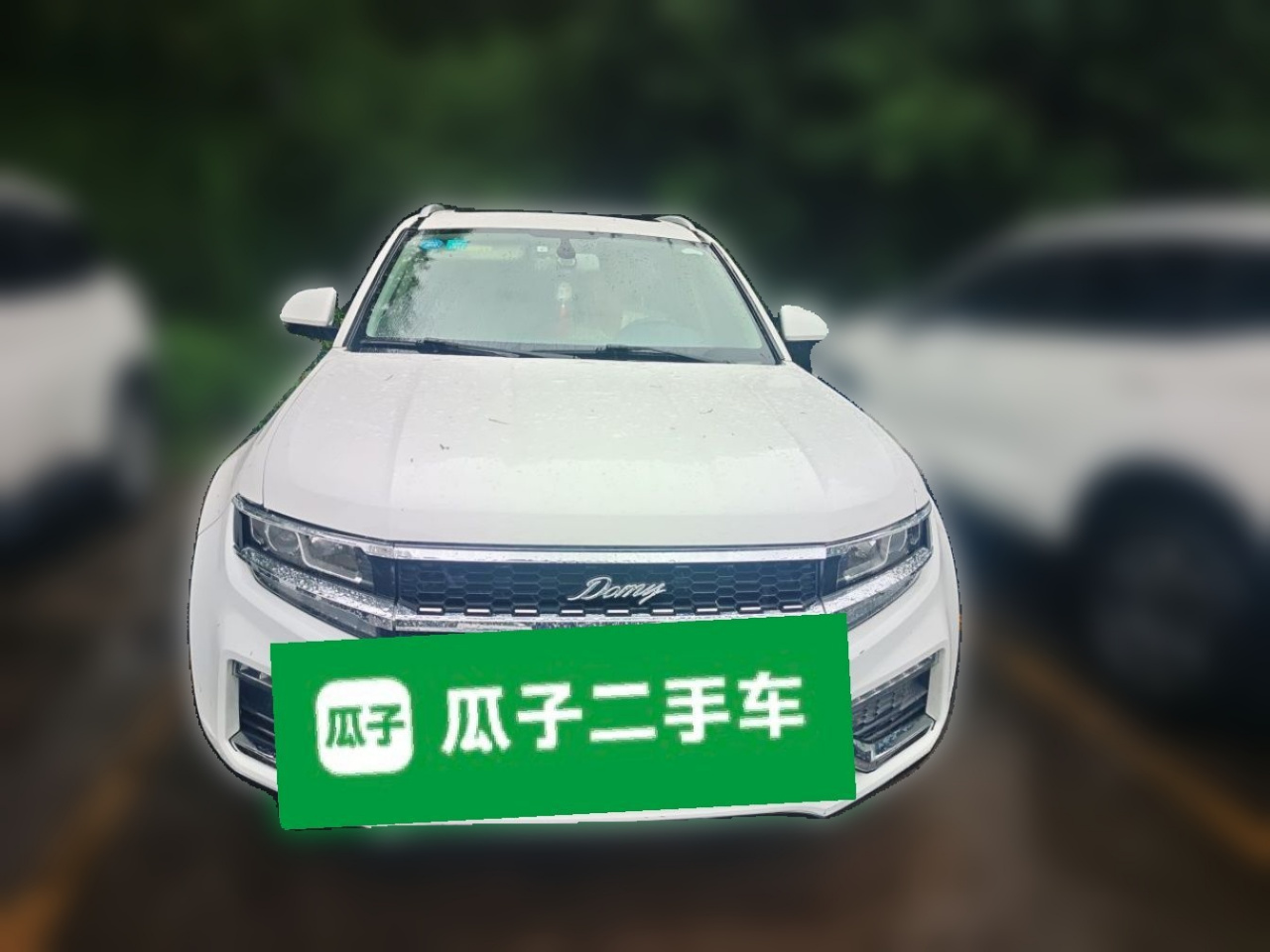 Domy X7 2018 2.0T AT Premium photo 2