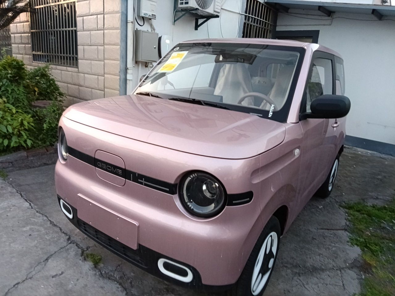 2025 Panda mini 210km Yuan