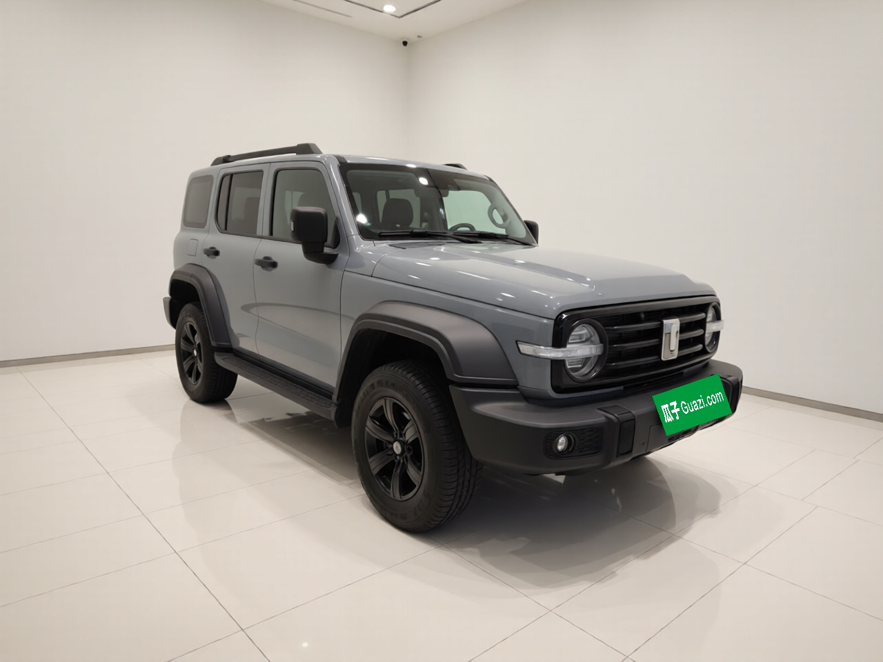 300 2021 Off-road 2.0T Conqueror photo 3