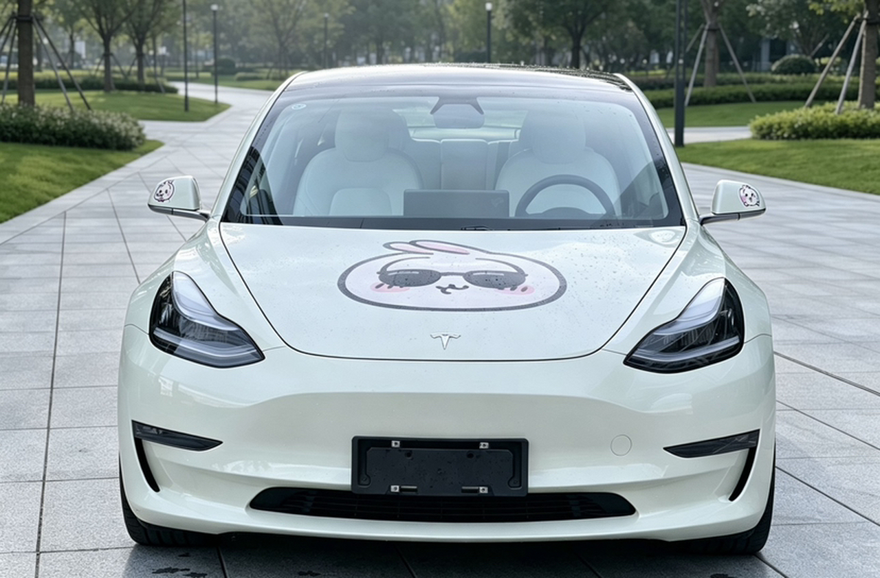 Model 3 2020 Facelift Long Range RWD photo 2