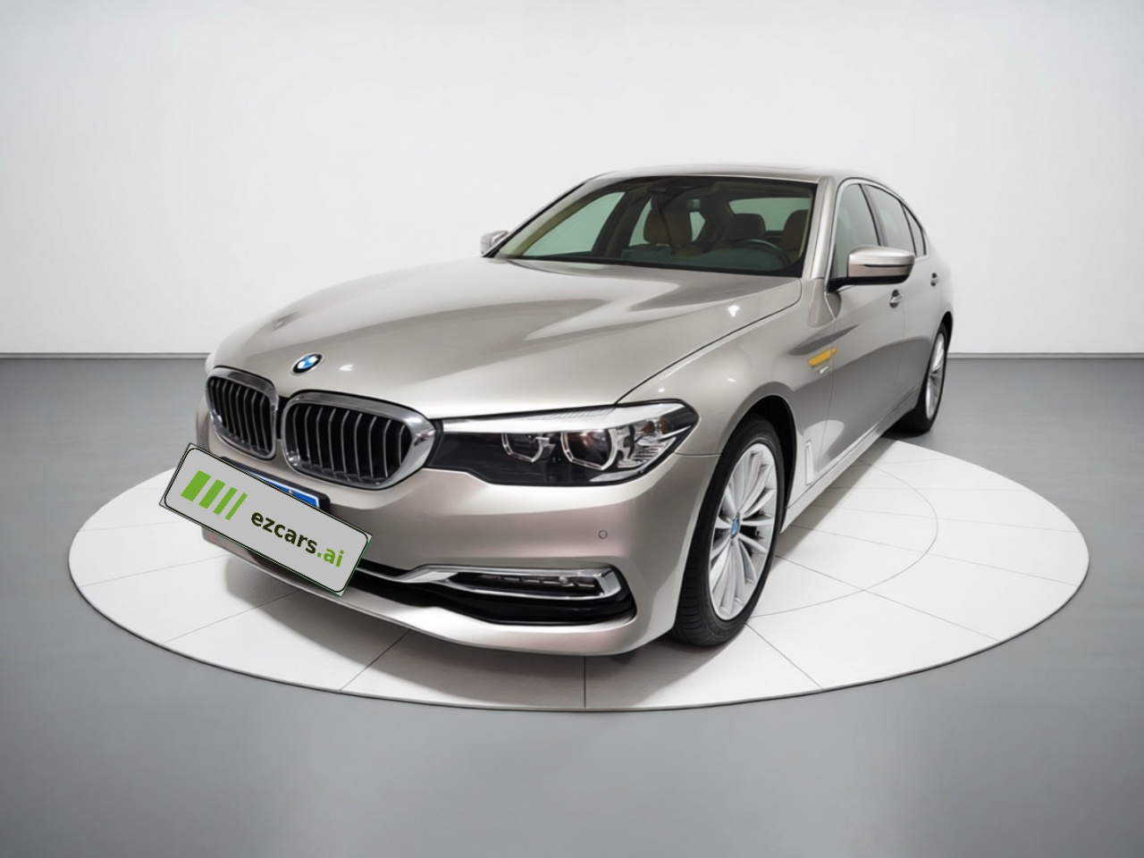 5 Series 2018 525Li Luxury