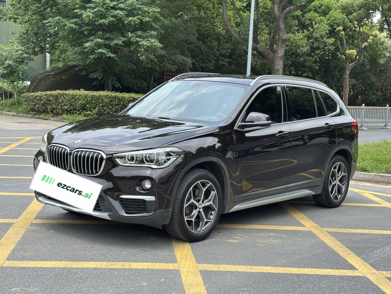 X1 2019 sDrive18Li Exclusive