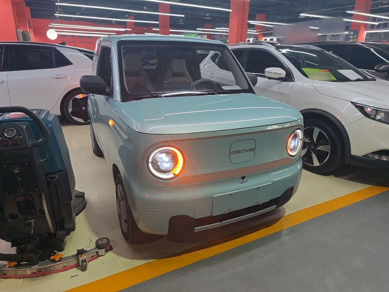 2023 Panda mini 200km Endurance Bear photo 3