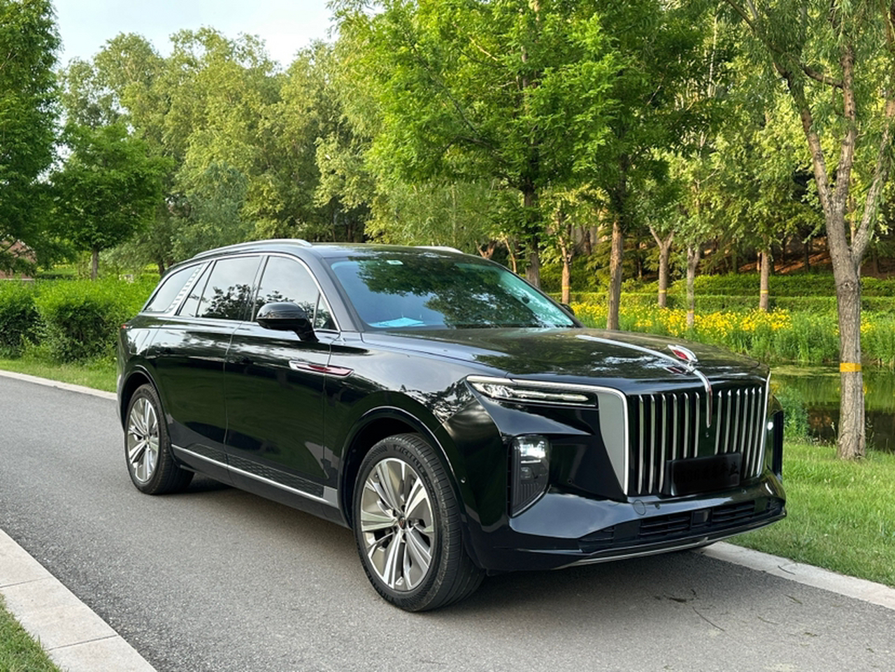 E-HS9 2022 690km 6-Seater photo 4