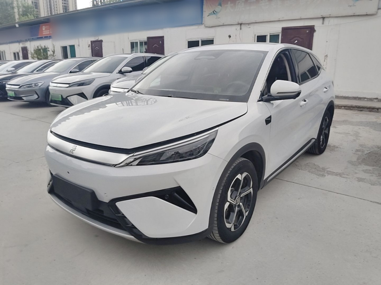 Yuan PLUS 2025 ADAS 510KM Leading